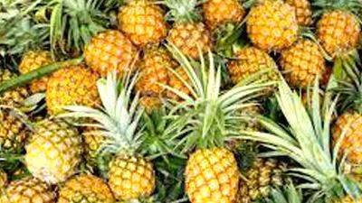 pineapple pineapple