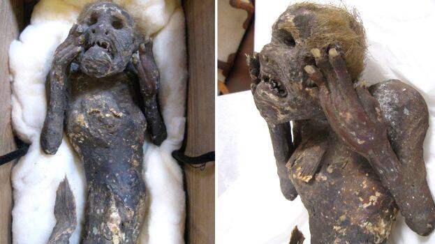 mummified-mermaid mummified-mermaid