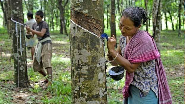 agriculture agriculture