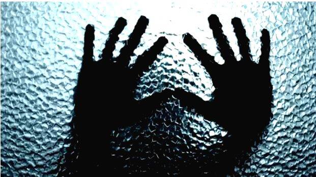 case-diary- case-diary-