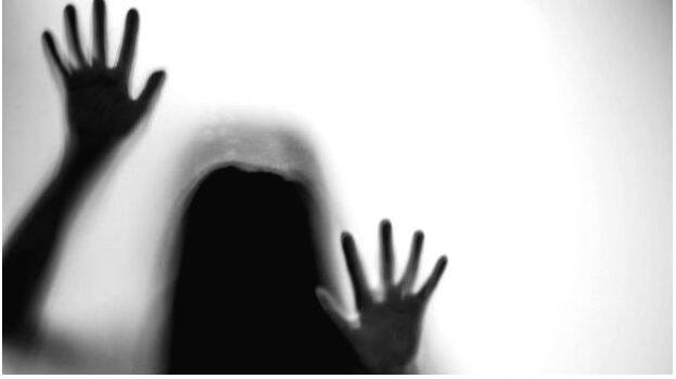 case-diary- case-diary-