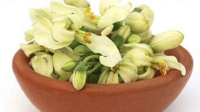 drumstick-flower drumstick-flower