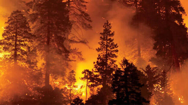 silent-valley silent-valley