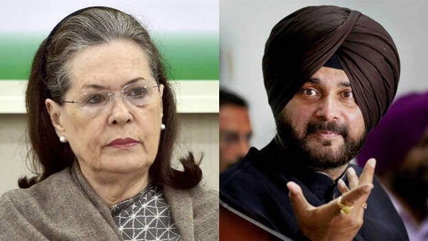 sonia-sidhu sonia-sidhu