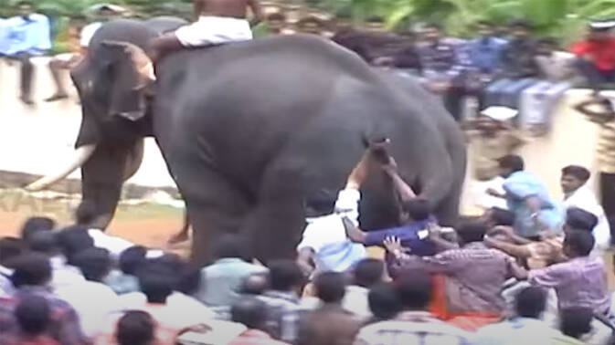 thrikkadavoor-sivaraju thrikkadavoor-sivaraju