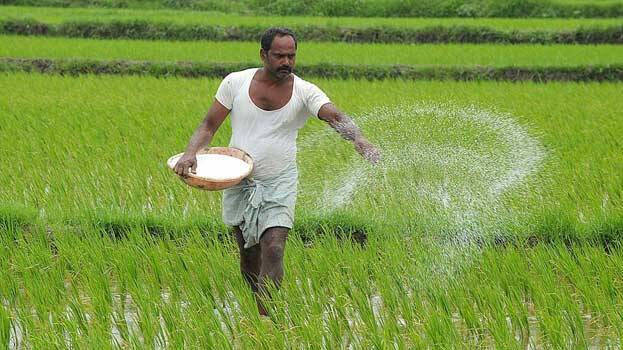 agri agri