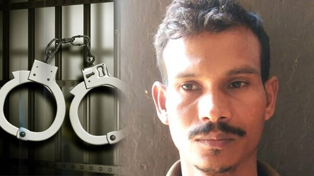 murder-case- murder-case-