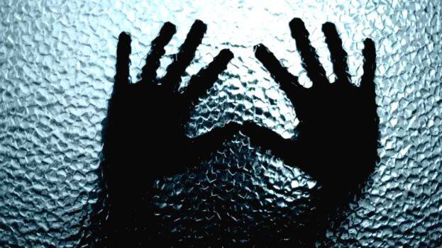 case-diary- case-diary-