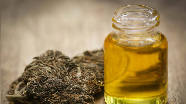 hashish-oil hashish-oil