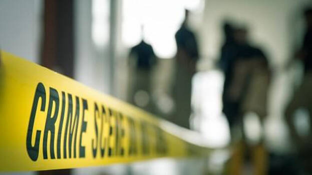 murder-case murder-case