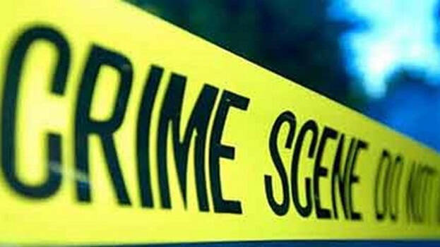 murder-case murder-case