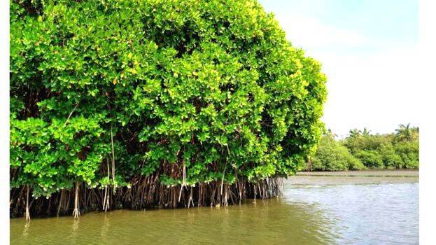 malappuram malappuram