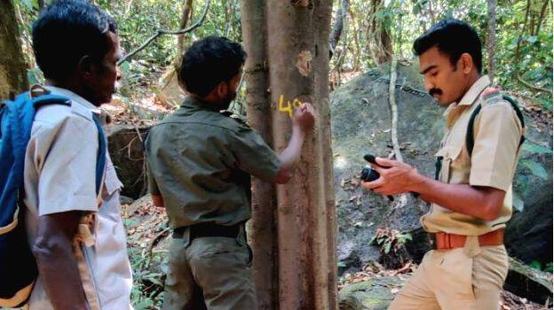 forest-dep forest-dep