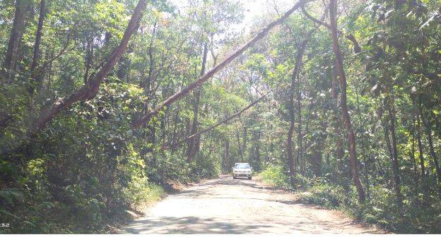 valiyakavu- valiyakavu-