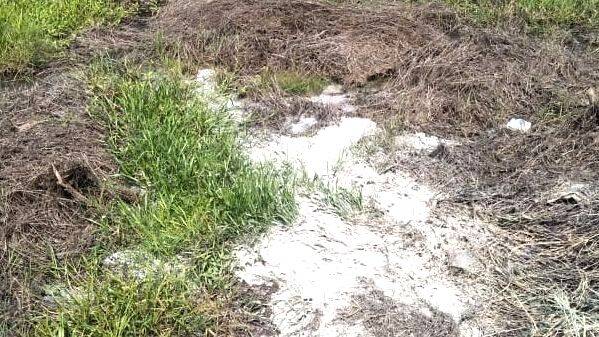 toilet-waste toilet-waste