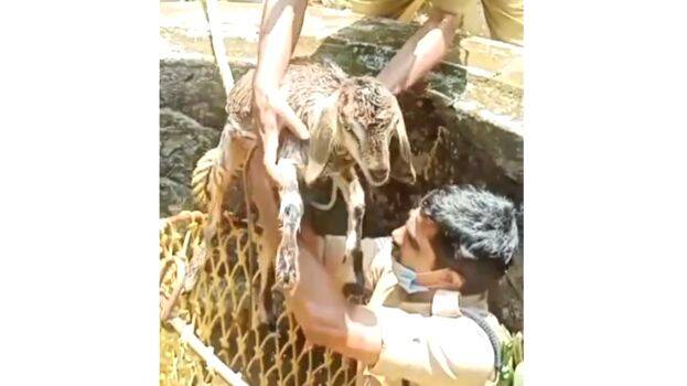 vallikkode vallikkode