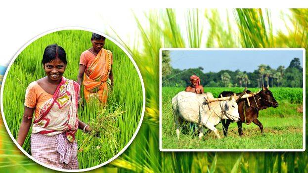 agri agri