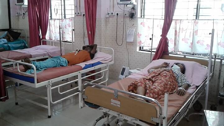 honey-bee-attack honey-bee-attack