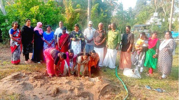 pachakari-krishi pachakari-krishi