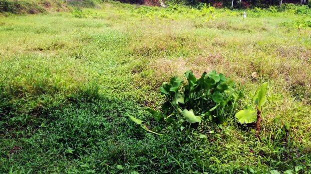 maranalloor maranalloor