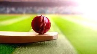 cricket