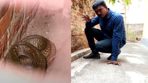 vava-suresh vava-suresh