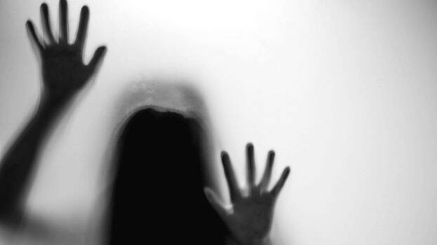 case-diary- case-diary-