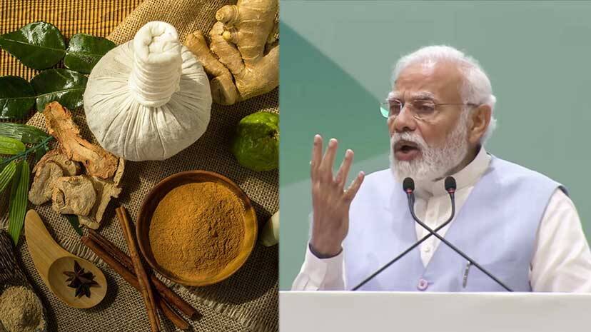 pm-modi-ayush pm-modi-ayush