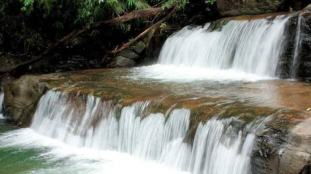 vazhvanthol vazhvanthol