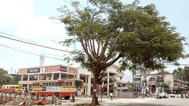 ksrtcstand ksrtcstand