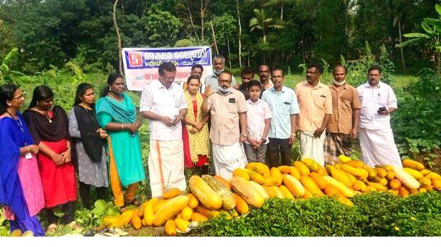 kani-vellari kani-vellari