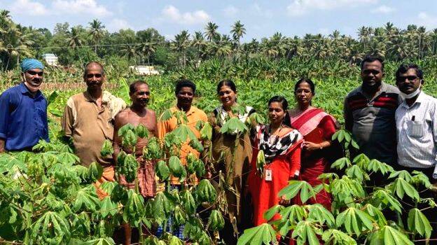 agriculture agriculture