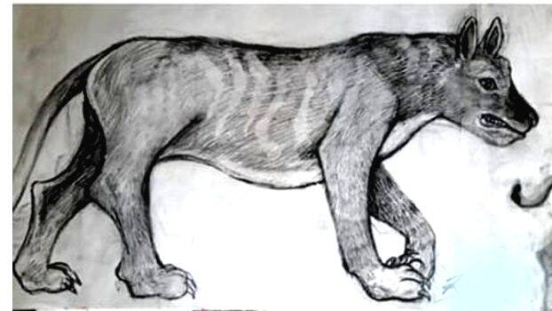 nayakaduva nayakaduva