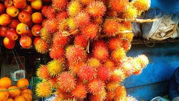 rambutan-