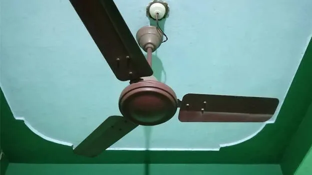 fan