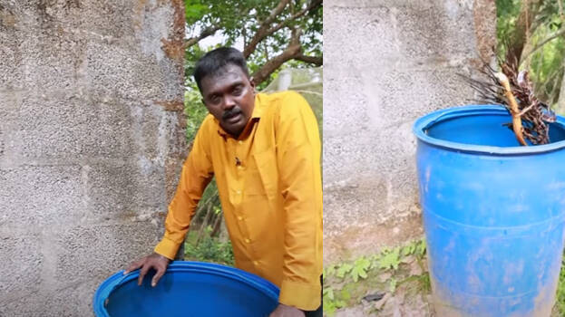 snake-master snake-master