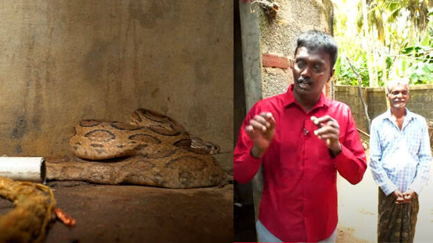 snake-master snake-master