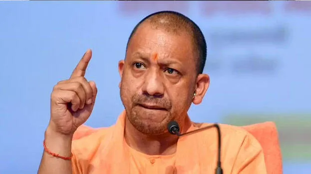 yogi-