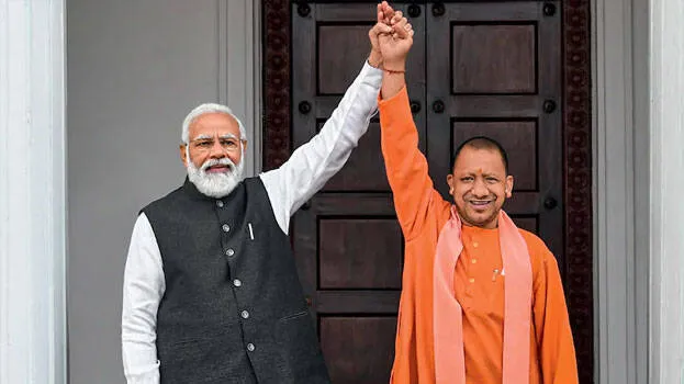 yogi-