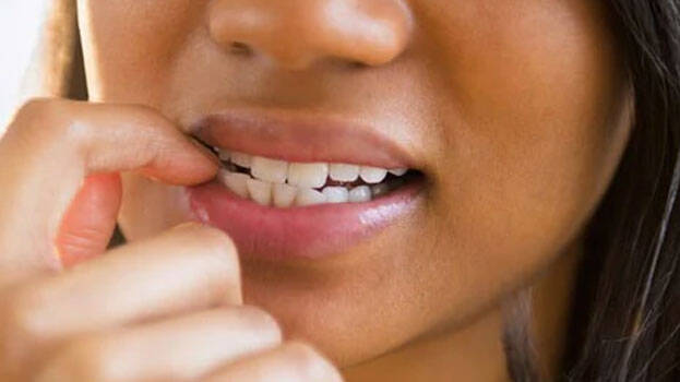 life-style life-style