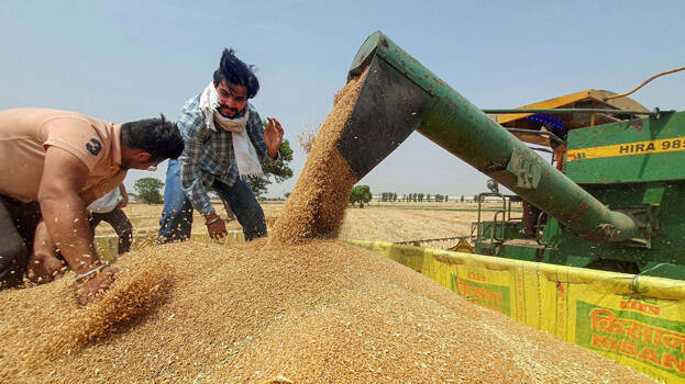 wheat-help-india-to-lead-