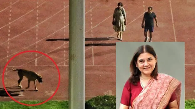 maneka-gandhi-
