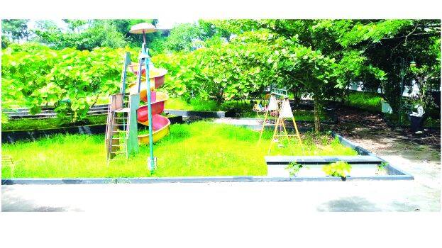 childrens-park childrens-park