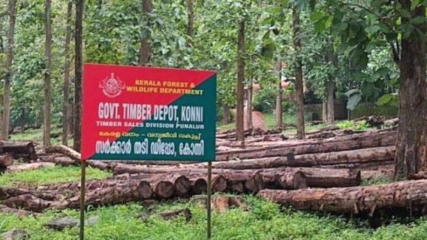 timber-