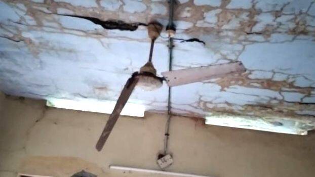 veterinary-hospital- veterinary-hospital-