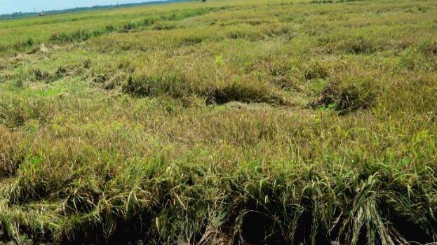 naaluthot-patam naaluthot-patam