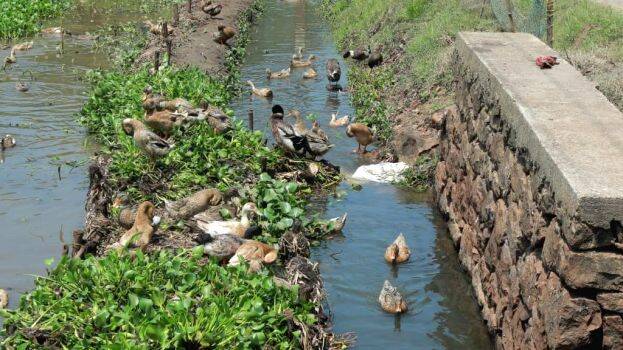 moorthitta moorthitta