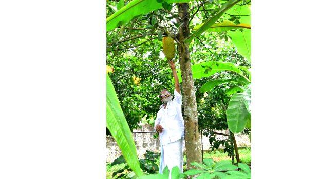 sreeman-narayanan sreeman-narayanan