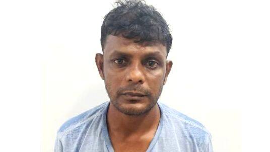 habeebul-shake habeebul-shake