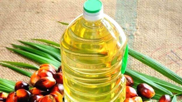 palm-oil palm-oil